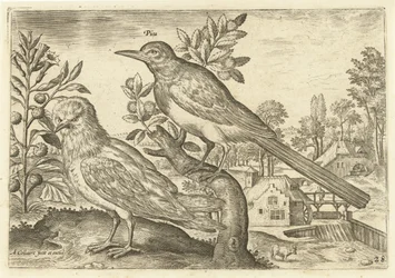 Due uccelli in un paesaggio