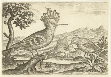 Due uccelli in un paesaggio