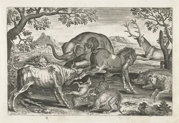 Animali combattenti, Quadrupedi (titolo della serie), Animalivm Qvaddrvpedvm (titolo della serie)