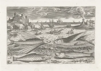 Quattro pesci sulla spiaggia