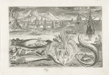 Quattro pesci sulla spiaggia (Vissen, Piscivm vivae icones)