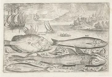 Quattro pesci sulla spiaggia