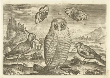 Uccelli e farfalle in un paesaggio