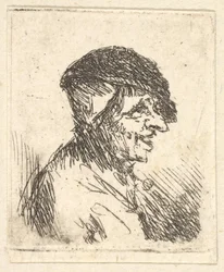 Testa di contadino