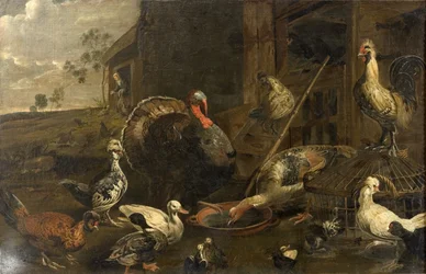 Galline, anatre e un tacchino