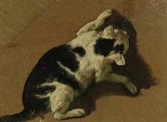 Gatto che gioca
