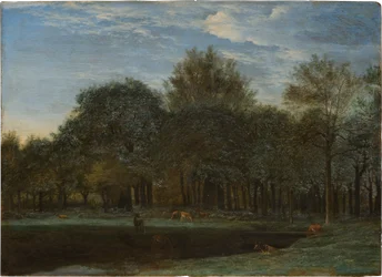 Radura nel bosco con cervi al pascolo