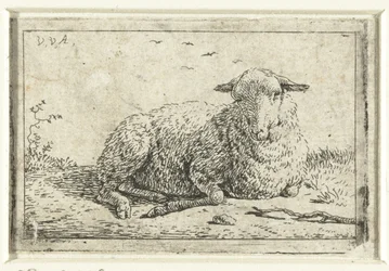 Pecora sdraiata
