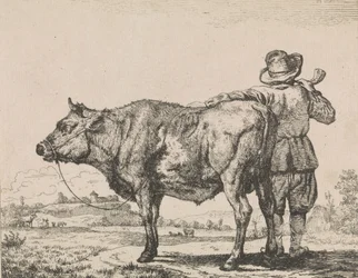 Uomo in piedi con toro