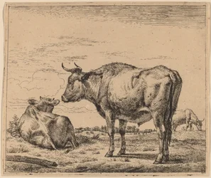 Toro in piedi