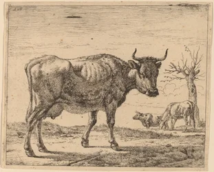 Tre mucche