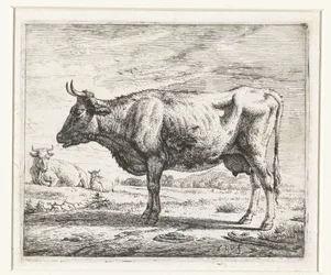 Due mucche e una pecora