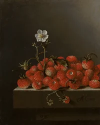 Natura morta con fragoline di bosco, 1705