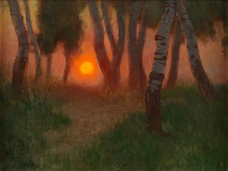 Tramonto in un paesaggio boscoso