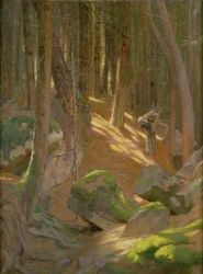 Crepuscolo in una foresta