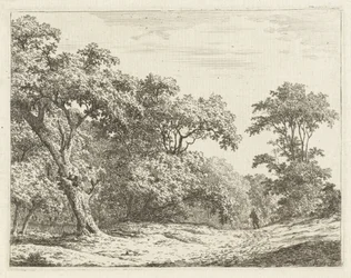 Paesaggio con alberi e un uomo sulla strada