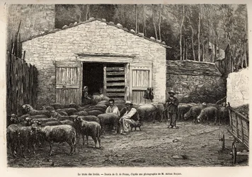 Il commercio delle pecore, tutto il personale della fattoria era impiegato in questo compito, ragazzo, servitore, sotto la supervisione del pastore, incisione da un disegno di A.Marie, illustrante un viaggio a Roquefort e dintorni, di Adrien Roques e Jules