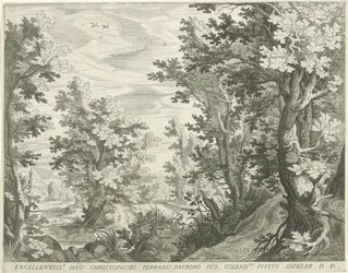 Paesaggio boschivo