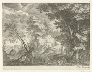 Paesaggio boschivo con ponte di legno