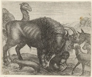 Favola del bisonte e degli altri animali