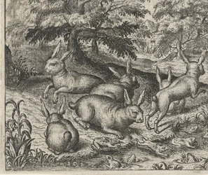 Favola delle lepri e delle rane