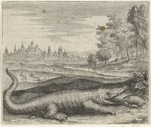 Favola del coccodrillo e della mangusta
