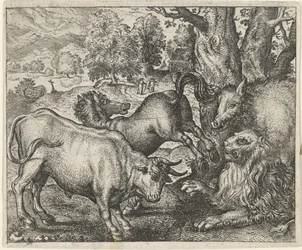 Favola del vecchio leone
