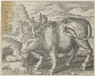 Favola del toro e del topo