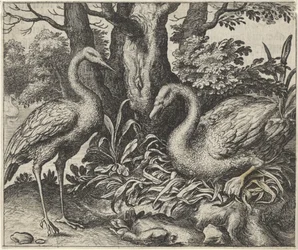 Favola del cigno e della cicogna