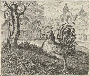 Favola del gallo e del diamante