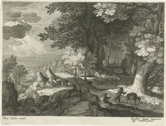 Ponte di legno in un paesaggio boschivo