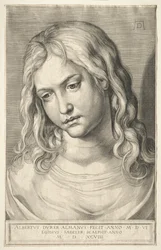 Testa femminile
