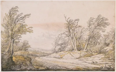 Una strada tra le dune