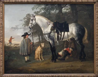 Cavallo grigio in un paesaggio