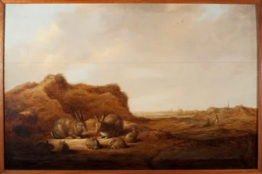 Paesaggio con conigli Dipinto di Albert (Aelbert o Aelbrecht) Cuyp (1620-1691) 1641-1642 Dim. 44x67 cm Genova, Musei di Strada Nuova (ex Palazzo Rosso)