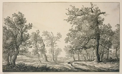 Sentiero attraverso una foresta di querce