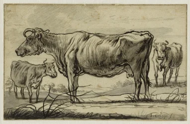Tre mucche al pascolo (Lugt 16)