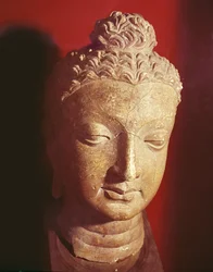 Testa di Buddha, stile greco-buddhista, da Hadda