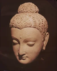 Testa di Buddha, stile greco-buddhista, da Hadda