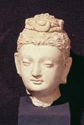 Testa di un Buddha, stile greco-buddhista, da Hadda