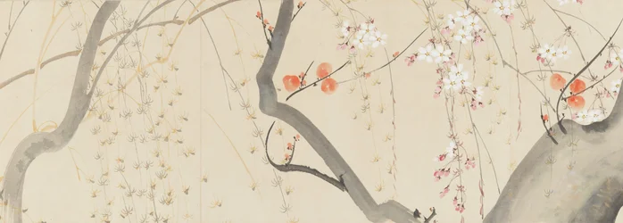 Fiori delle quattro stagioni