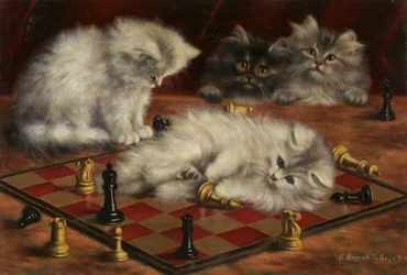 Gatti con una scacchiera