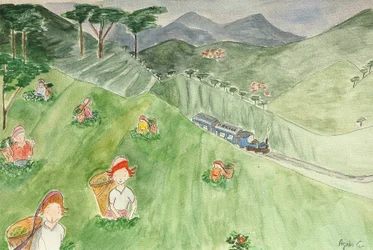 Il viaggio, Darjeeling