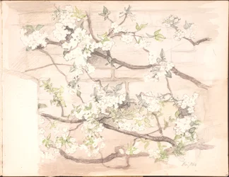 Quaderno di schizzi. Luglio 1899 - giugno 1901