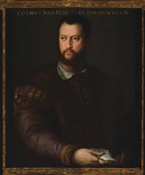 Ritratto di Cosimo I de