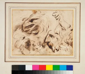 Foglio di Studi con la Testa di un