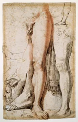 Studi di una gamba sinistra di un uomo, una mano sinistra e una testa di uomo di profilo