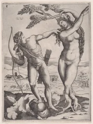 Apollo e Dafne