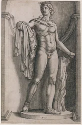 Speculum Romanae Magnificentiae: Apollo del Belvedere, ca. 1514-36