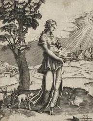 La Sibilla Cumana, 1516 (incisione su carta vergata)